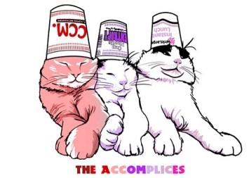 accomplices-ccm-entropy-wl