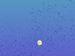 288896815_9787e7ed0f_c